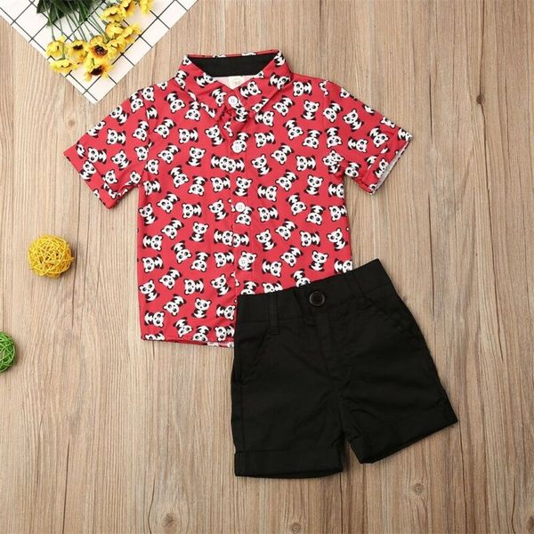 uk baby boy clothes gentleman suit short sleeve panda print t-shirt shorts outfit sunsuit 2pcs 1-6t, White
uk baby boy clothes gentleman suit short sleeve panda print t-shirt shorts outfit sunsuit 2pcs 1-6t, White