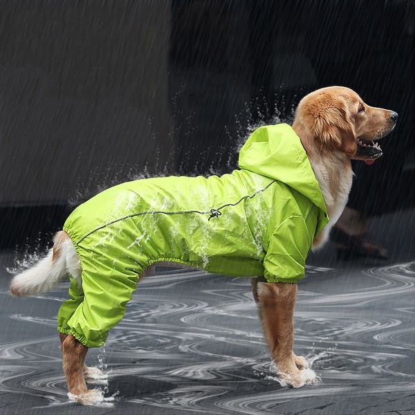 winter large dog raincoat waterproof rain coat jacket clothes for golden retriever shepherd dog labrador puppy pet cloak
winter large dog raincoat waterproof rain coat jacket clothes for golden retriever shepherd dog labrador puppy pet cloak