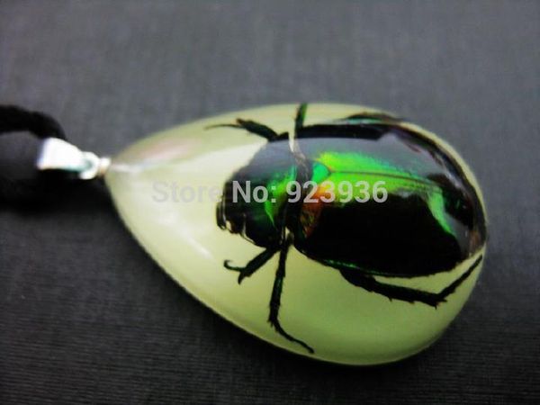 10 pcs glow in the dark lucite necklace real green rose chafer beetle bug, Silver
10 pcs glow in the dark lucite necklace real green rose chafer beetle bug, Silver
