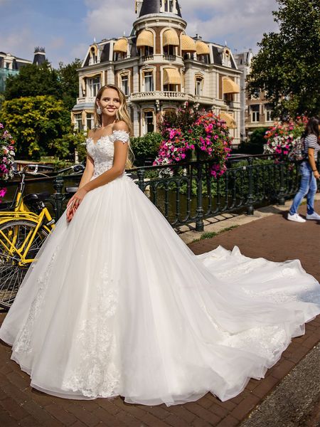 2020 lace appliques a-line wedding dresses princess chapel train long garden bridal gowns beaded long vestidos de mariee formal wedding wear, White
2020 lace appliques a-line wedding dresses princess chapel train long garden bridal gowns beaded long vestidos de mariee formal wedding wear, White
