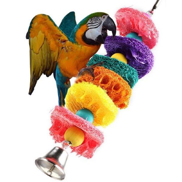 middle and small size parrot bites retinervus luffae fructus hand catch gnaw toys swing climb the ladder a molar tooth string cross border
middle and small size parrot bites retinervus luffae fructus hand catch gnaw toys swing climb the ladder a molar tooth string cross border