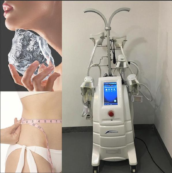 2020 new frozen fat decomposition weight loss machine for frozen double chin treatment and body fat removal
2020 new frozen fat decomposition weight loss machine for frozen double chin treatment and body fat removal