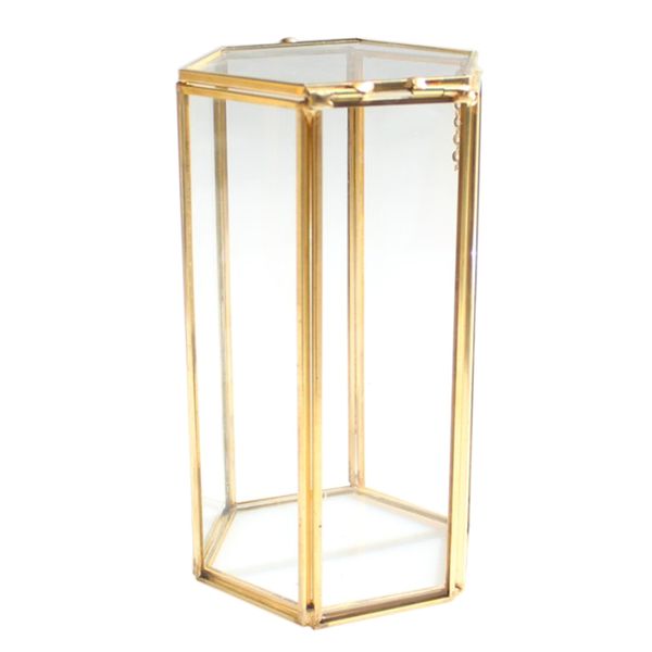 modern hexagon glass copper geometric terrarium tableplanter succulent fern moss box pot container wedding favors
modern hexagon glass copper geometric terrarium tableplanter succulent fern moss box pot container wedding favors