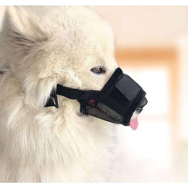 pet dog adjustable muzzle for dogs breathable small large dog muzzle anti bark bite chew dog muzzles training pet products
pet dog adjustable muzzle for dogs breathable small large dog muzzle anti bark bite chew dog muzzles training pet products