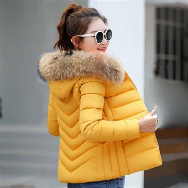 female jacket new winter jacket women 2018 fashion plus size warm winter lady park women's coats, Black
female jacket new winter jacket women 2018 fashion plus size warm winter lady park women's coats, Black