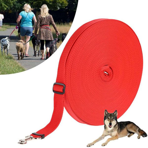 tpfocus adjustable pet dog training leash for outdoor cat dog walking control seat belt puppy pet supplies lever traction
tpfocus adjustable pet dog training leash for outdoor cat dog walking control seat belt puppy pet supplies lever traction