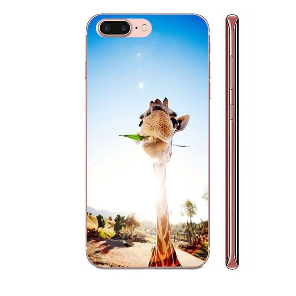 изготовленный на заказ tpu чехол для мобильного телефона samsung galaxy note 5 8 9 s3 s4 s5 s6 s7 s8 s9 s10 5g mini edge plus lite прекрасны
изготовленный на заказ tpu чехол для мобильного телефона samsung galaxy note 5 8 9 s3 s4 s5 s6 s7 s8 s9 s10 5g mini edge plus lite прекрасны