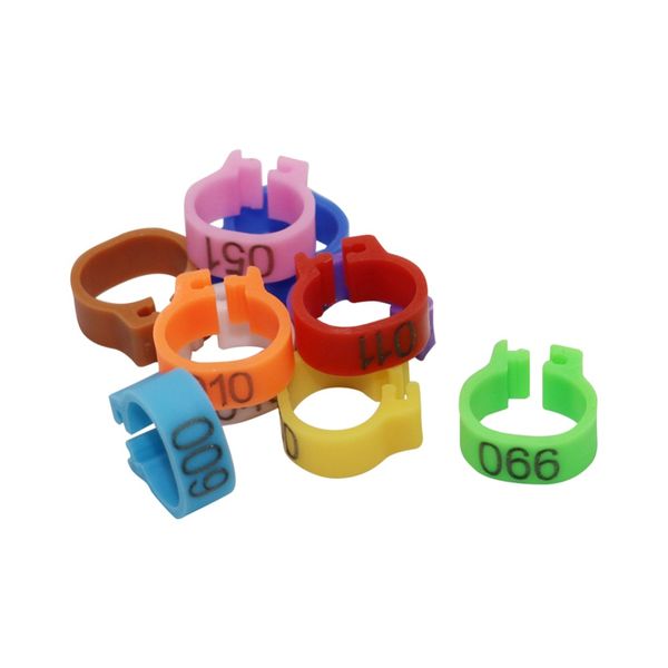 100 pcs/set inner diameter 8mm pigeon leg poultry dove bird parrot clip rings band foot ring pigeon supplies bird appliances
100 pcs/set inner diameter 8mm pigeon leg poultry dove bird parrot clip rings band foot ring pigeon supplies bird appliances