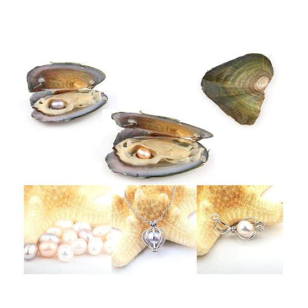 pearl oysters with rice 7-8 mm love wish real freshwater pearl and nacklace set (chain 55cm, Silver
pearl oysters with rice 7-8 mm love wish real freshwater pearl and nacklace set (chain 55cm, Silver
