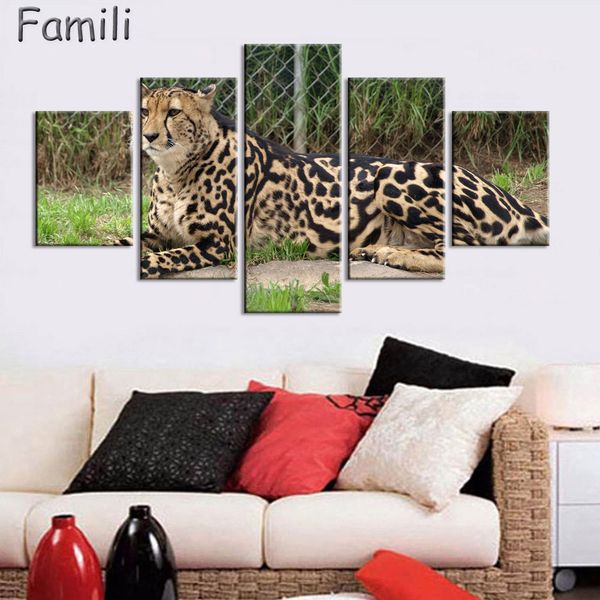 5pcs home decor canvas art print with animal cheetah picture decoration sitting room spray painting wall poster paints print
5pcs home decor canvas art print with animal cheetah picture decoration sitting room spray painting wall poster paints print