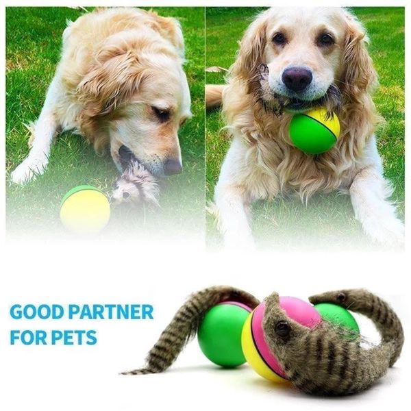 dog toys & chews pet cat electric beaver weasel toy rolling jump balls for puppy dogs funny moving supplies
dog toys & chews pet cat electric beaver weasel toy rolling jump balls for puppy dogs funny moving supplies