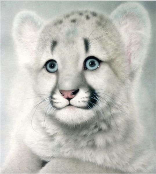 animals cute tiger 5d diy diamond painting home decoration wall painting of diamond mosaic embroidery painting
animals cute tiger 5d diy diamond painting home decoration wall painting of diamond mosaic embroidery painting