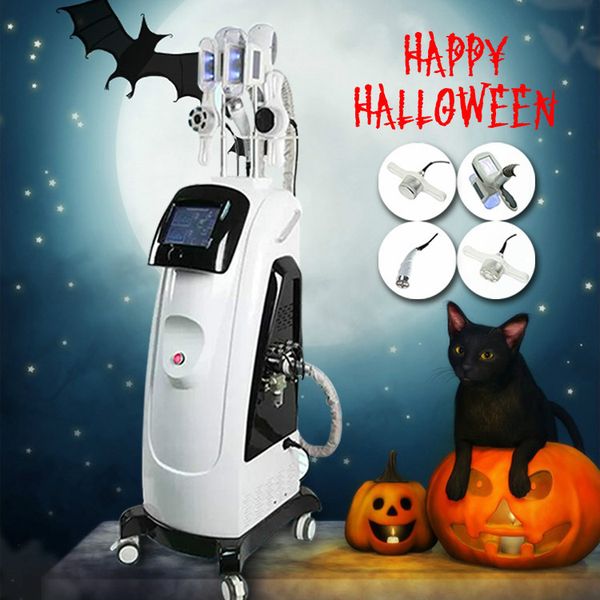 2020 professional cryolipolysis cool body sculpting lipo e fat e body slimming machine with 2 size handles
2020 professional cryolipolysis cool body sculpting lipo e fat e body slimming machine with 2 size handles