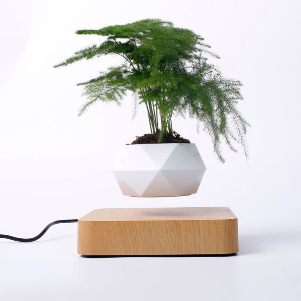 magnetic levitating suspension flower pot planters air floating pot potted levitation plant pot bonsai home indoor decoration
magnetic levitating suspension flower pot planters air floating pot potted levitation plant pot bonsai home indoor decoration