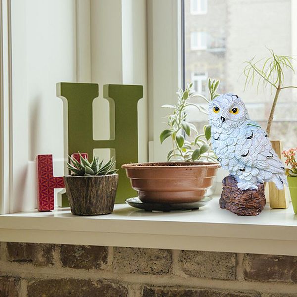 resin imitation mini owls miniature house fairy garden micro landscape garden outdoor patio decoration plant pots bonsai craft
resin imitation mini owls miniature house fairy garden micro landscape garden outdoor patio decoration plant pots bonsai craft