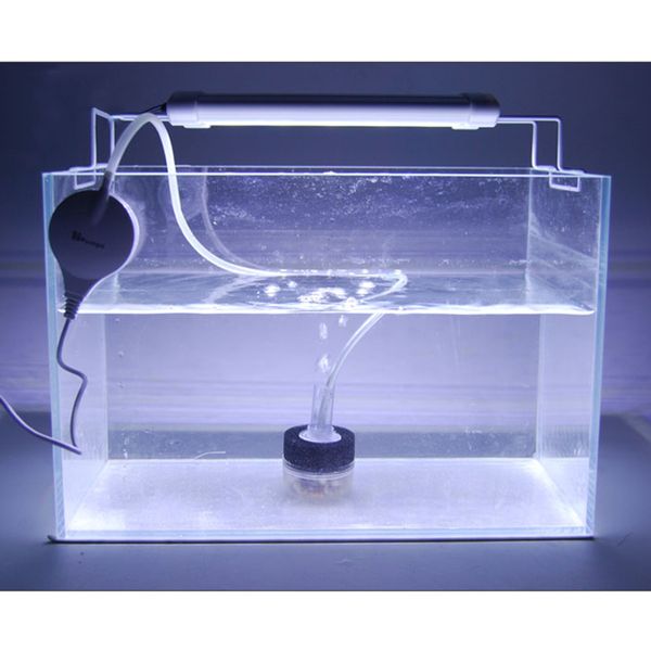 aquarium fish tank bio фильтр для воды биохимические губка aquatic внутренний фильтр, 2x3inch
aquarium fish tank bio фильтр для воды биохимические губка aquatic внутренний фильтр, 2x3inch
