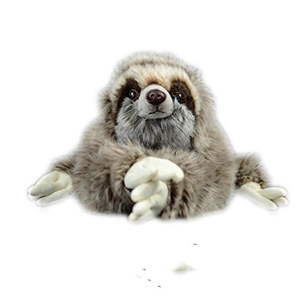 35 cm premium three toed sloth real life plush stuffed animal folivora toy gifts for kids
35 cm premium three toed sloth real life plush stuffed animal folivora toy gifts for kids