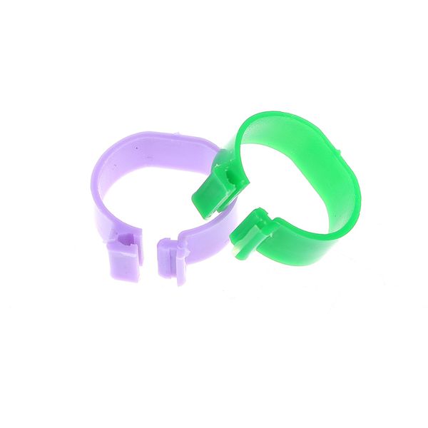 20pcs/lot inside diameter 2.0 cm chicken ring hen pigeon leg band poultry dove birds quail goose chicks duck parrot clip rings
20pcs/lot inside diameter 2.0 cm chicken ring hen pigeon leg band poultry dove birds quail goose chicks duck parrot clip rings