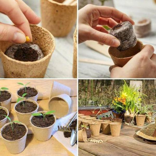 50pcs 8cm fibre plant pots seed pots grow seed trays + 50x plant labels for cultivating plants vegetable
50pcs 8cm fibre plant pots seed pots grow seed trays + 50x plant labels for cultivating plants vegetable