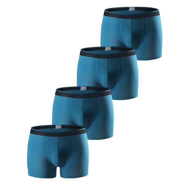 arno men's cotton underwear men's trunks boxer brifes 4pcs sky blue underwear, Black;white
arno men's cotton underwear men's trunks boxer brifes 4pcs sky blue underwear, Black;white