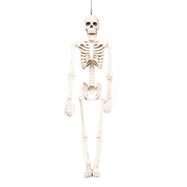 creepy halloween party пластиковые карнавал висячих главная prop хэллоуин украшение бар supplies фестиваль декор игрушка открытых
creepy halloween party пластиковые карнавал висячих главная prop хэллоуин украшение бар supplies фестиваль декор игрушка открытых