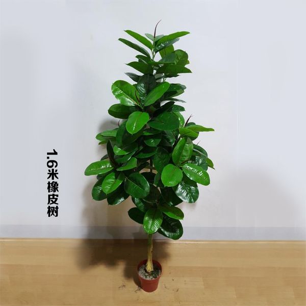 artificial 160cm rubber tree without pot large greenery planting home decoration artificial flower bonsai fake plants
artificial 160cm rubber tree without pot large greenery planting home decoration artificial flower bonsai fake plants