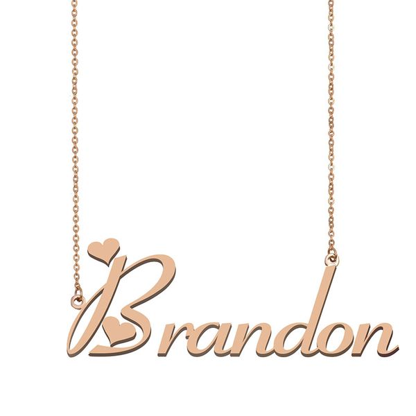 brandon name necklace pendant for women girls birthday gift custom nameplate children friends jewelry 18k gold plated stainless steel, Silver
brandon name necklace pendant for women girls birthday gift custom nameplate children friends jewelry 18k gold plated stainless steel, Silver
