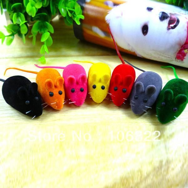 pets dogs pet suppliesfun sound chew toy false mouse rat pet cat kitten dog puppy playing squeaky lx0124 drop shipping
pets dogs pet suppliesfun sound chew toy false mouse rat pet cat kitten dog puppy playing squeaky lx0124 drop shipping