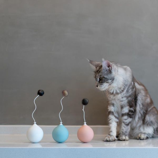 cat toys funny electric toy tumbler automatic stick interactive pet dog machine game scratching butterfly ball
cat toys funny electric toy tumbler automatic stick interactive pet dog machine game scratching butterfly ball