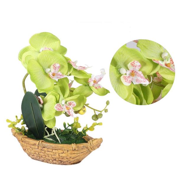 simulation butterfly orchid large bonsai fake plant flowerpot ornament fake landscape decors pot for home office balcony (green
simulation butterfly orchid large bonsai fake plant flowerpot ornament fake landscape decors pot for home office balcony (green