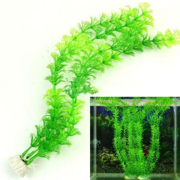 simulation aquatic plant water vanilla grass aquariums fish tank decorations landscaping artificial grass pet supplies plastic wx9-1259
simulation aquatic plant water vanilla grass aquariums fish tank decorations landscaping artificial grass pet supplies plastic wx9-1259