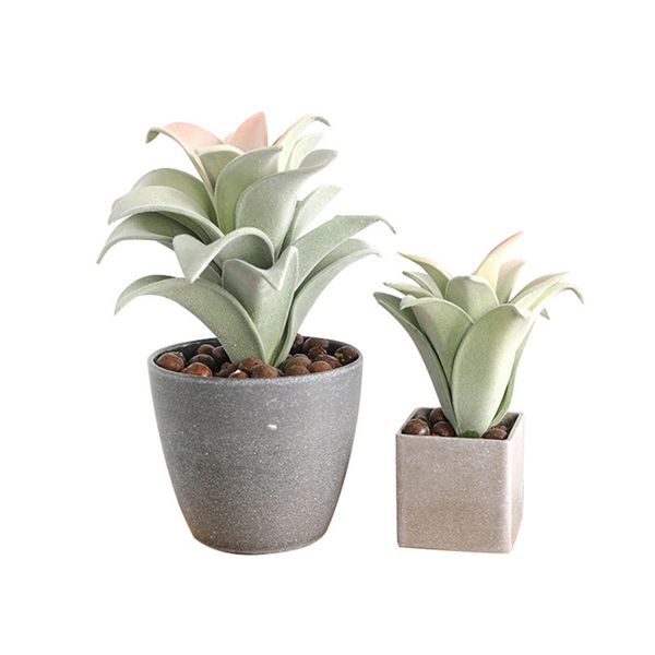 simulation plants meaty eva fire pineapple indoor home deskdecoration artificial plastic meaty fake flower bouquet potted
simulation plants meaty eva fire pineapple indoor home deskdecoration artificial plastic meaty fake flower bouquet potted