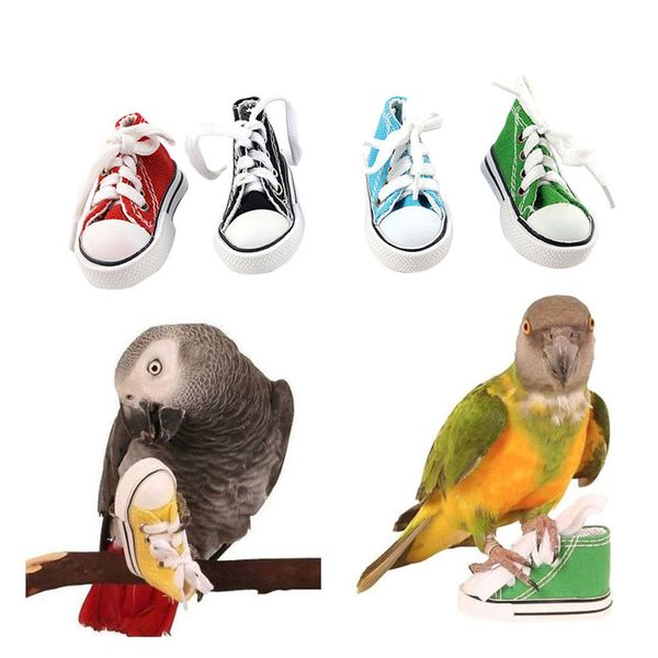 mini canvas shoes parrot bird toys pet bird shoe cage decoration standing climbing toy parrot cage pet shoes toys
mini canvas shoes parrot bird toys pet bird shoe cage decoration standing climbing toy parrot cage pet shoes toys