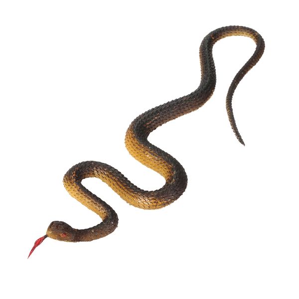 simulation rubber snake fake artificial rubber faux snake model toy snake fake animal gift halloween costume party supplies
simulation rubber snake fake artificial rubber faux snake model toy snake fake animal gift halloween costume party supplies
