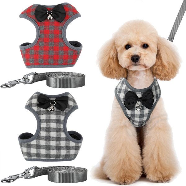 dog supplies set chest belt collar traction rope for dogs, dog clothes harnesses & necklace strap leash
dog supplies set chest belt collar traction rope for dogs, dog clothes harnesses & necklace strap leash