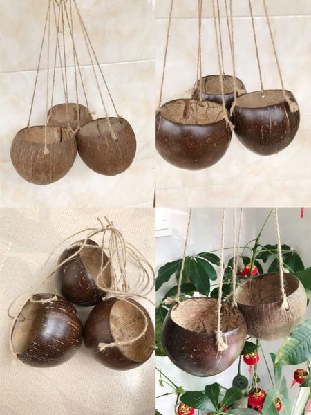 planting basin hanging basket household decoration hanging pot coconut shell pot coconut shell pot creative gift
planting basin hanging basket household decoration hanging pot coconut shell pot coconut shell pot creative gift