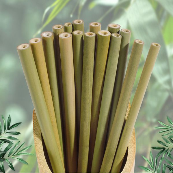 natural green bamboo yellow bamboo carbonized straws health and environmental protection customizable engraving logo dbc vt0192
natural green bamboo yellow bamboo carbonized straws health and environmental protection customizable engraving logo dbc vt0192