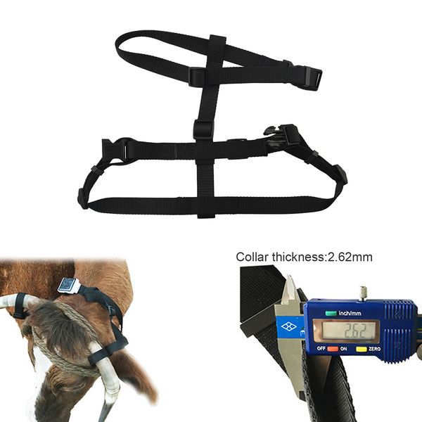 gps accessory pet collar for solar power gps tracker rf-v26 rf-v26+ collar for cow big pets no include
gps accessory pet collar for solar power gps tracker rf-v26 rf-v26+ collar for cow big pets no include