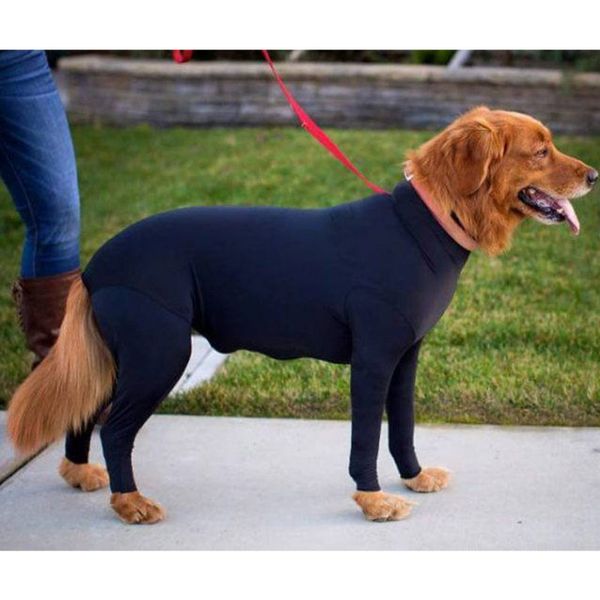 dog recovery shirt pet puppy medical care suit long sleeves bodysuit jumpsuit anti licking wounds help post operative healing
dog recovery shirt pet puppy medical care suit long sleeves bodysuit jumpsuit anti licking wounds help post operative healing