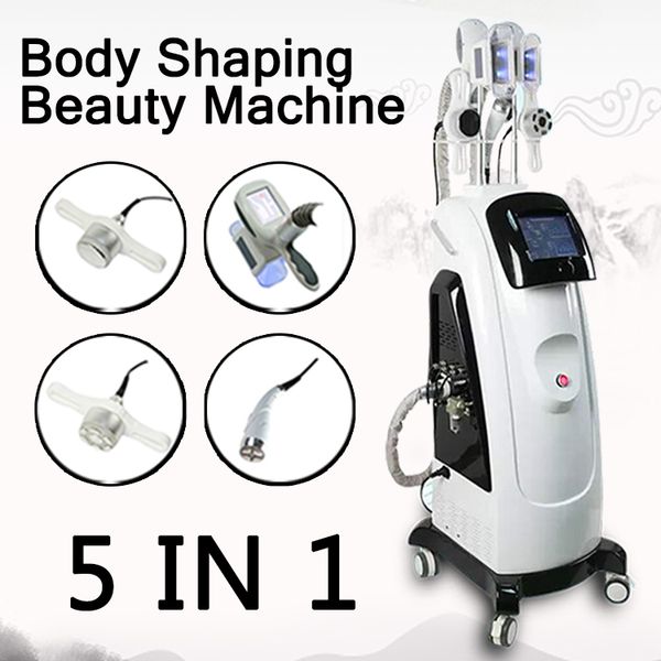 multifunction professional fat e body slimming machine 2 cryo handles cavitation vacuum rf lipo laser home salon use
multifunction professional fat e body slimming machine 2 cryo handles cavitation vacuum rf lipo laser home salon use