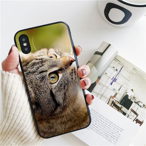 капа роскошные небе кот чехол для iphone 11 про хз макс xr и чехол для iphone 6s плюс 5s 8 7 юв чехол мягкий силиконовый чехол
капа роскошные небе кот чехол для iphone 11 про хз макс xr и чехол для iphone 6s плюс 5s 8 7 юв чехол мягкий силиконовый чехол