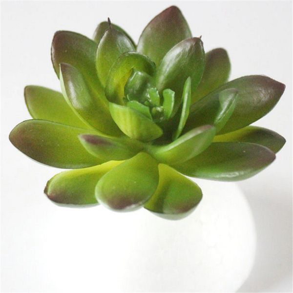 artificial succulents plant garden miniature fake succulents cactus flower diy home floral decor home/office decoration
artificial succulents plant garden miniature fake succulents cactus flower diy home floral decor home/office decoration