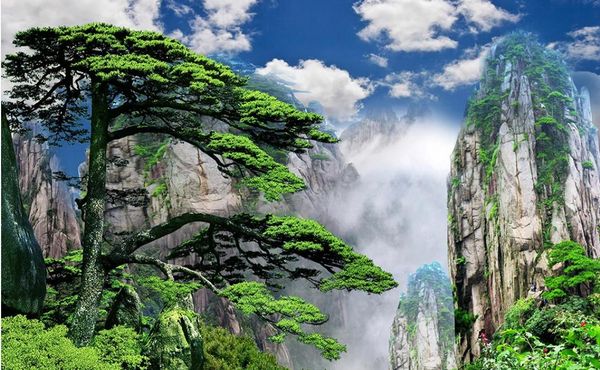 wallpaper for walls 3 d for living room nature scenery wallpapers beautiful scenery wallpapers
wallpaper for walls 3 d for living room nature scenery wallpapers beautiful scenery wallpapers