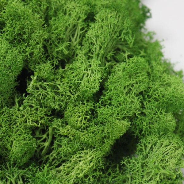 20g/set artificial plant eternal life moss / garden home decoration wall diy flower material mini garden micro landscape accessories
20g/set artificial plant eternal life moss / garden home decoration wall diy flower material mini garden micro landscape accessories