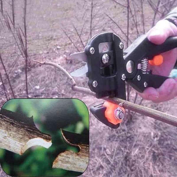 garden grafting tool set farming pruning shears cutting scissor agricultural tool fruit tree vaccination secateurs pruning knife
garden grafting tool set farming pruning shears cutting scissor agricultural tool fruit tree vaccination secateurs pruning knife