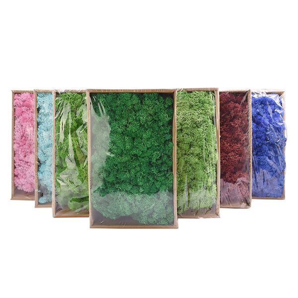 decorative flowers & wreaths 20g artificial moss immortal simulation green plant grass home wall diy micro landscape accessorie
decorative flowers & wreaths 20g artificial moss immortal simulation green plant grass home wall diy micro landscape accessorie