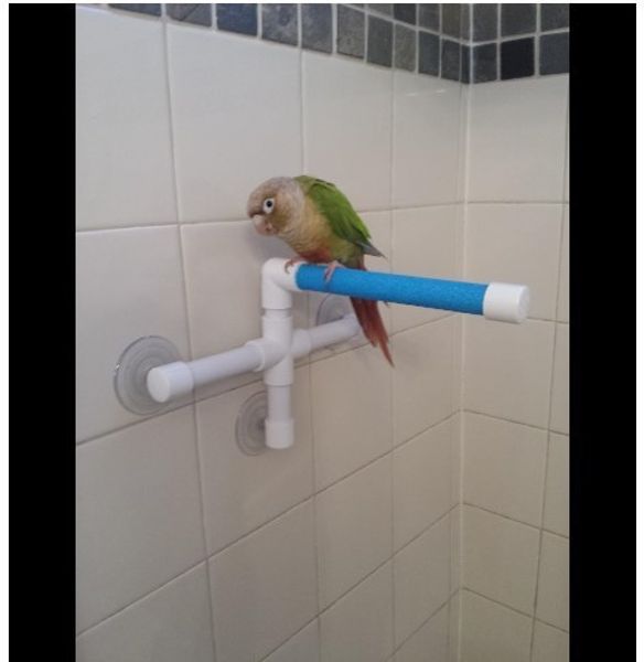 parrot stand bar bird stand frame parrot toys parrot take a shower shower stand frame take a shower articles 188g
parrot stand bar bird stand frame parrot toys parrot take a shower shower stand frame take a shower articles 188g
