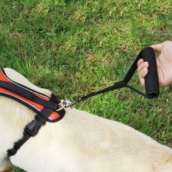 dog leash super short comfortable padded handle for medium large dogs reflective pet leashes for walking training
dog leash super short comfortable padded handle for medium large dogs reflective pet leashes for walking training
