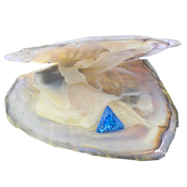 fashion jewelry accessories 8mm*8mm triangle blue loose cubic zircon in oysters in vacuum packaging, Black
fashion jewelry accessories 8mm*8mm triangle blue loose cubic zircon in oysters in vacuum packaging, Black