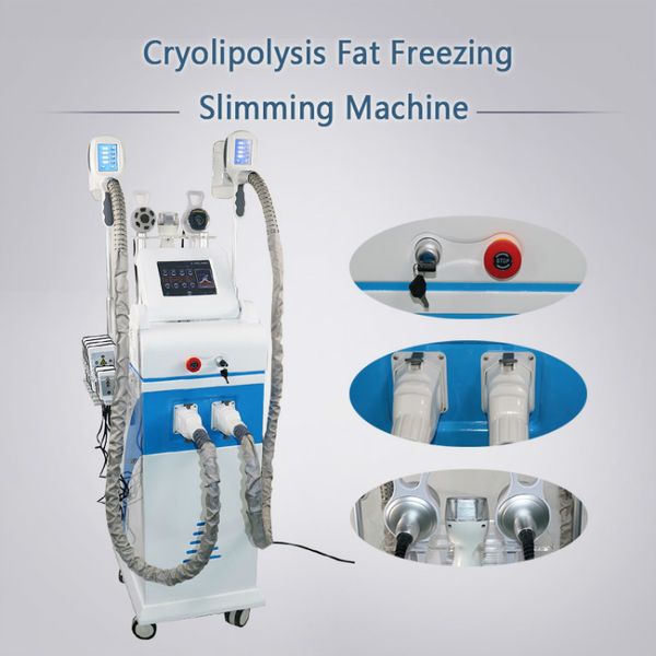 cryolipolysis fat ing machine ultrasonic cavitation rf slimming lipo laser with three er handles can be used
cryolipolysis fat ing machine ultrasonic cavitation rf slimming lipo laser with three er handles can be used